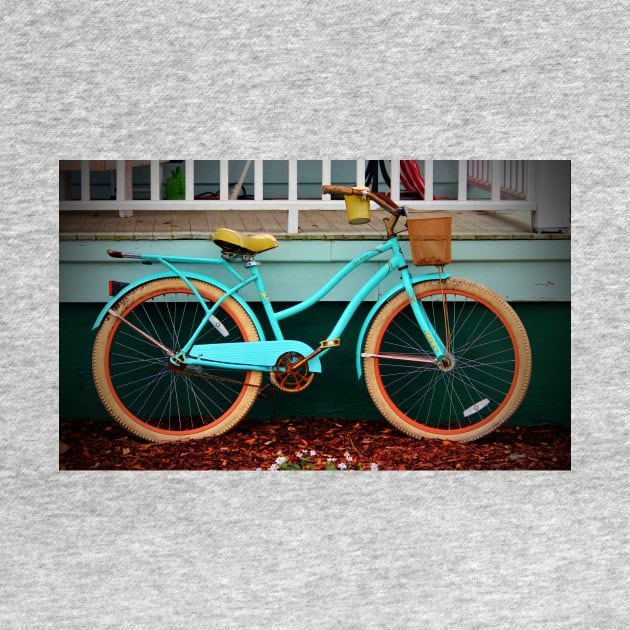 Beach Cruiser Bike by Cynthia48